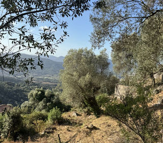  Terrain � vendre 1124 m�