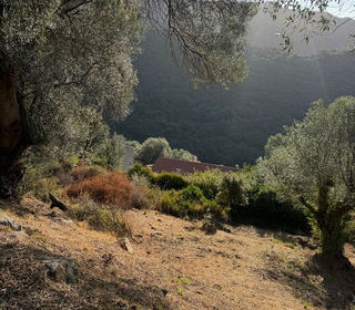  Terrain � vendre 1124 m�