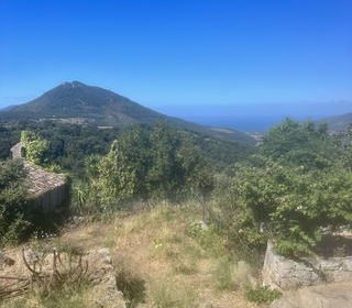  Terrain � vendre 305 m�