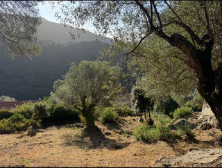  Terrain � vendre 1124 m�