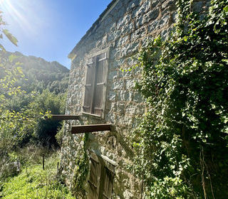  Maison � vendre 1 pi�ce 25 m�