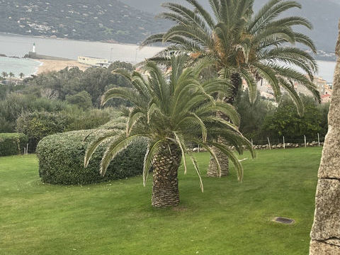 R&eacute;sidence h&ocirc;leli&egrave;re - bord de mer - Corse-du-Sud. 4200000 20000 Ajaccio