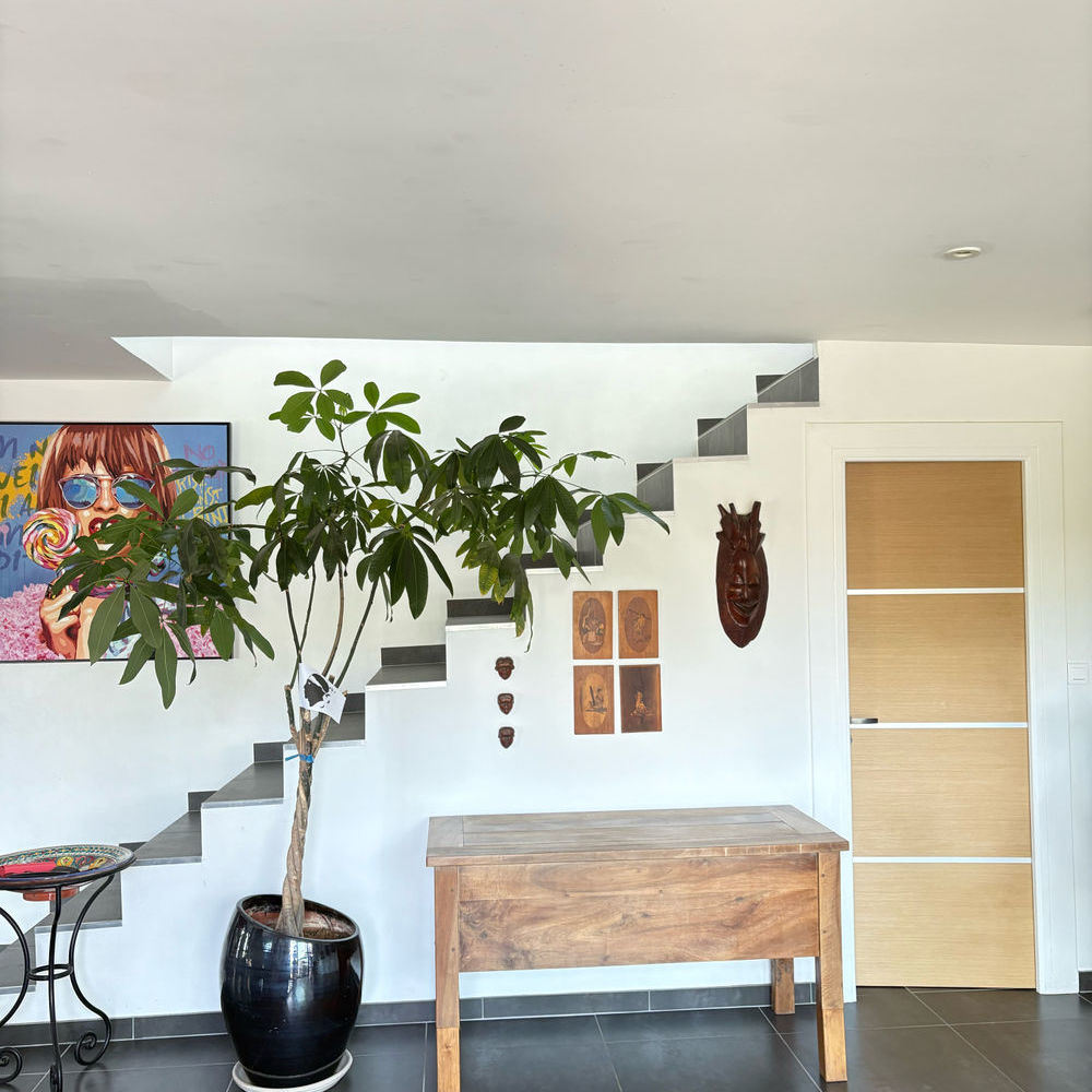 � vendre  Maison Pietrosella (20166)