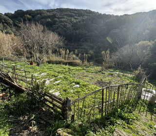  Maison � vendre 1 pi�ce 25 m�