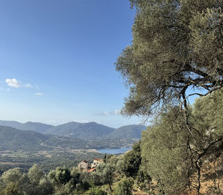  Terrain � vendre 1124 m�