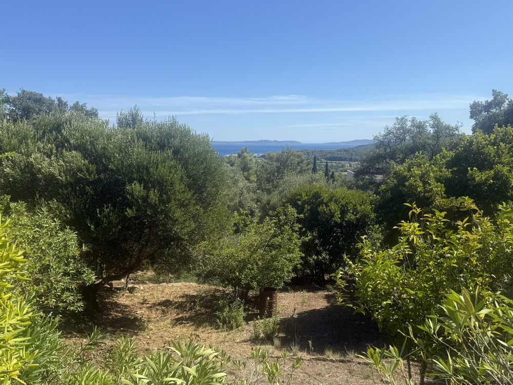 � vendre  Propri�t�/ch�teau Bormes-les-Mimosas (83230)