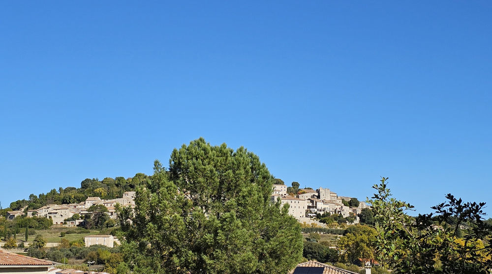 � vendre  Propri�t�/ch�teau V�z�nobres (30360)