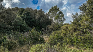  Terrain � vendre 2930 m�