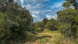  Terrain � vendre 2930 m�