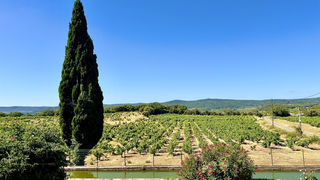  Propri�t�/ch�teau � vendre 15 + pi�ces 360 m�