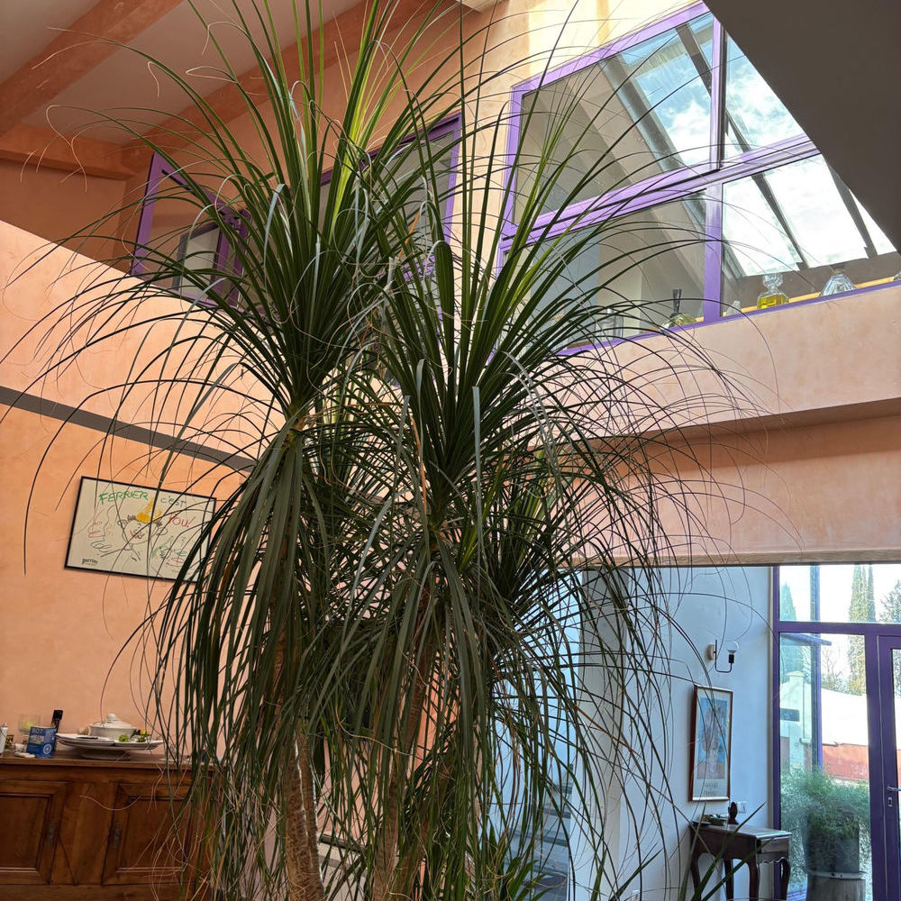 � vendre  Propri�t�/ch�teau N�mes (30000)