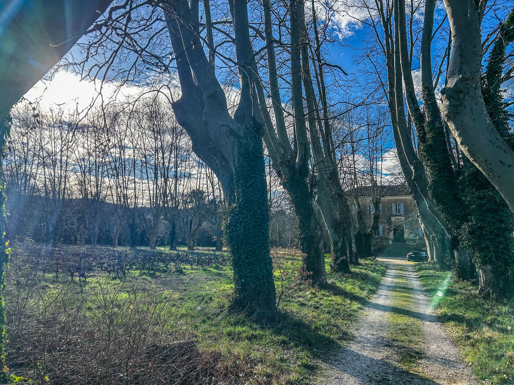 � vendre  Propri�t�/ch�teau Tresques (30330)