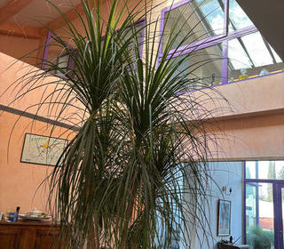  Propri�t�/ch�teau � vendre 8 pi�ces 295 m�