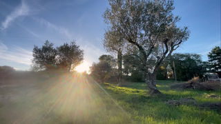  Terrain � vendre 1200 m�