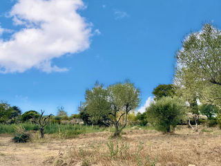  Terrain � vendre 1200 m�