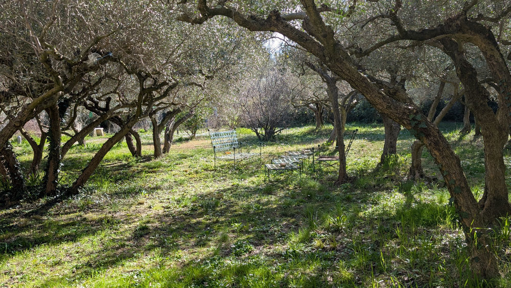 � vendre  Propri�t�/ch�teau N�mes (30000)