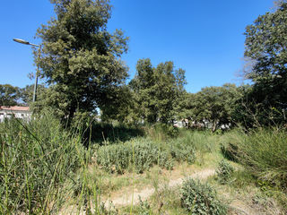  Terrain � vendre 494 m�