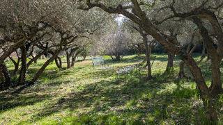  Propri�t�/ch�teau � vendre 8 pi�ces 295 m�