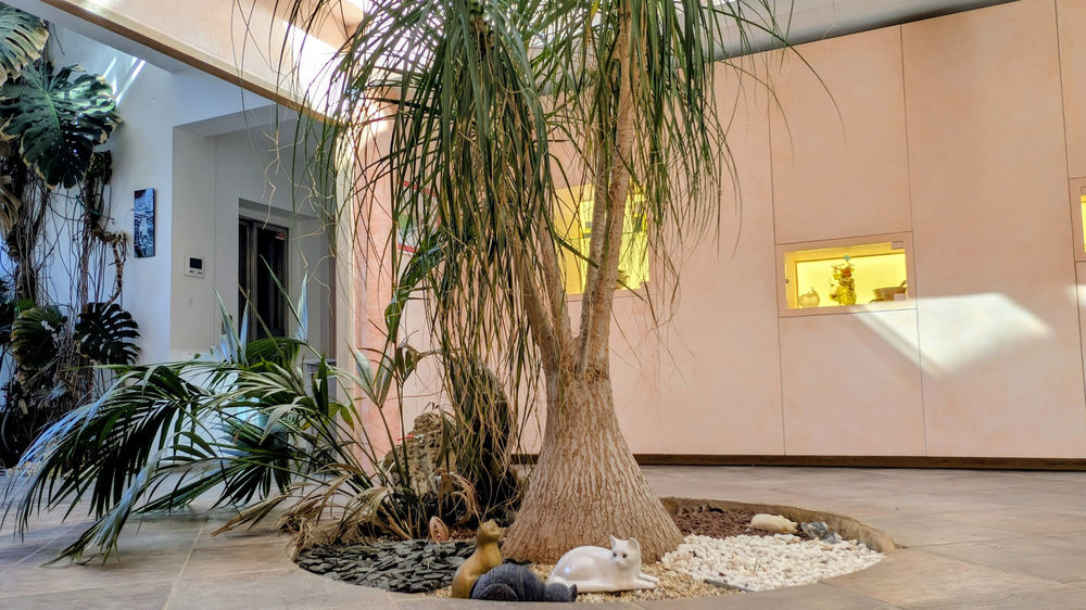 � vendre  Propri�t�/ch�teau N�mes (30000)