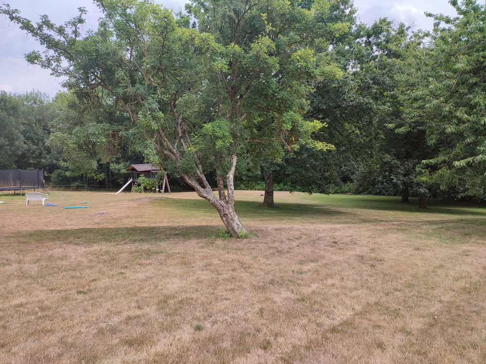 � vendre  Propri�t�/ch�teau Brusvily (22100)