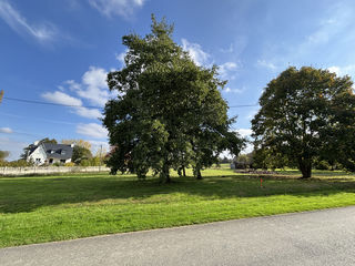  Terrain � vendre 706 m�