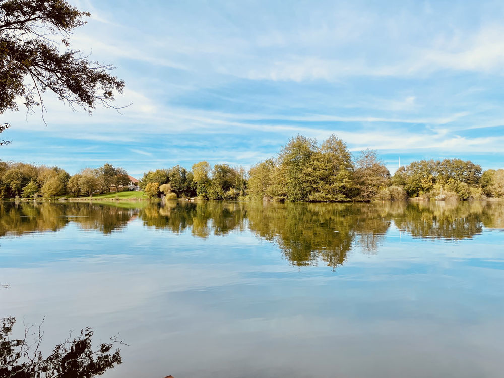 � vendre  Maison Le Vigeant (86150)