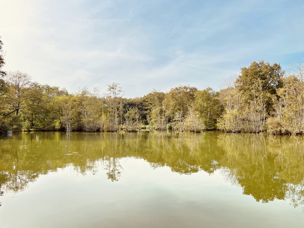 � vendre  Maison Le Vigeant (86150)