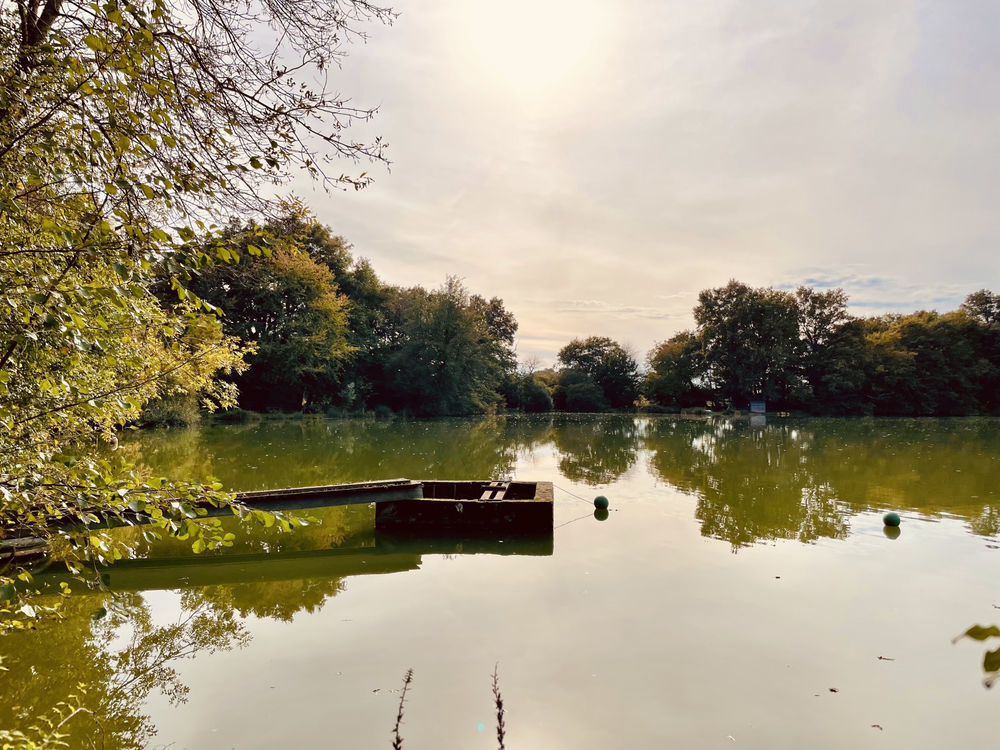 � vendre  Maison Le Vigeant (86150)