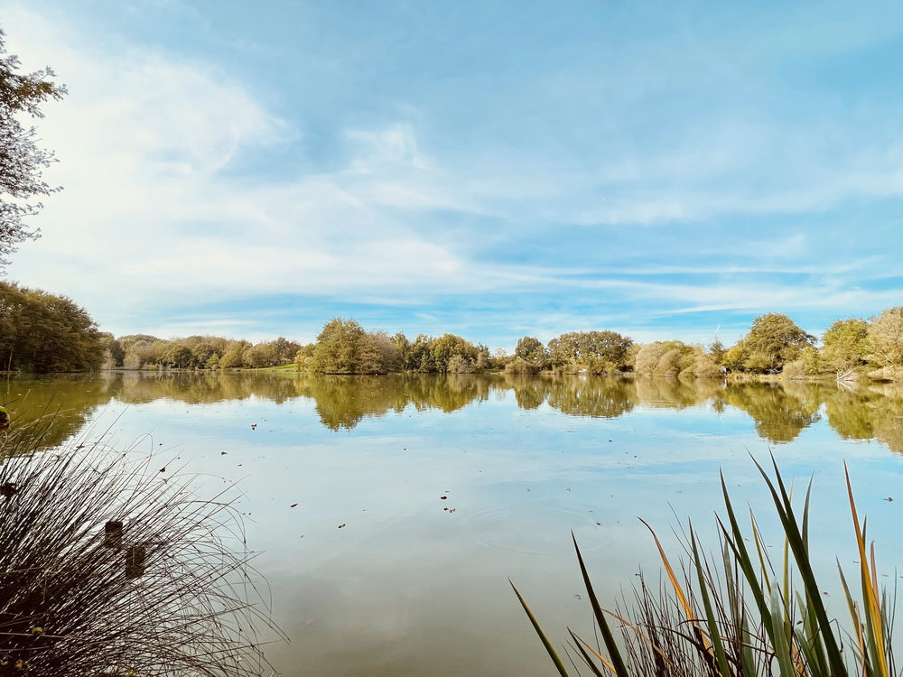 � vendre  Maison Le Vigeant (86150)