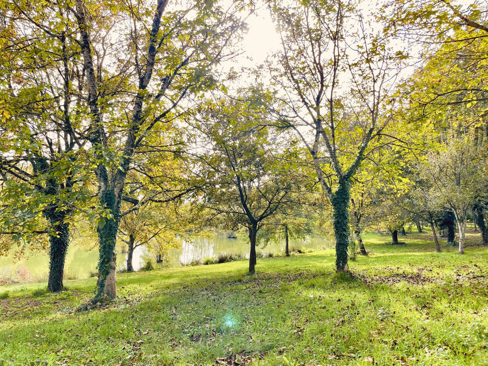 � vendre  Maison Le Vigeant (86150)