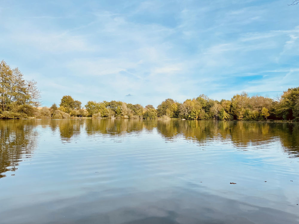 � vendre  Maison Le Vigeant (86150)