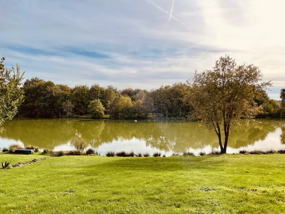 � vendre  Maison Le Vigeant (86150)