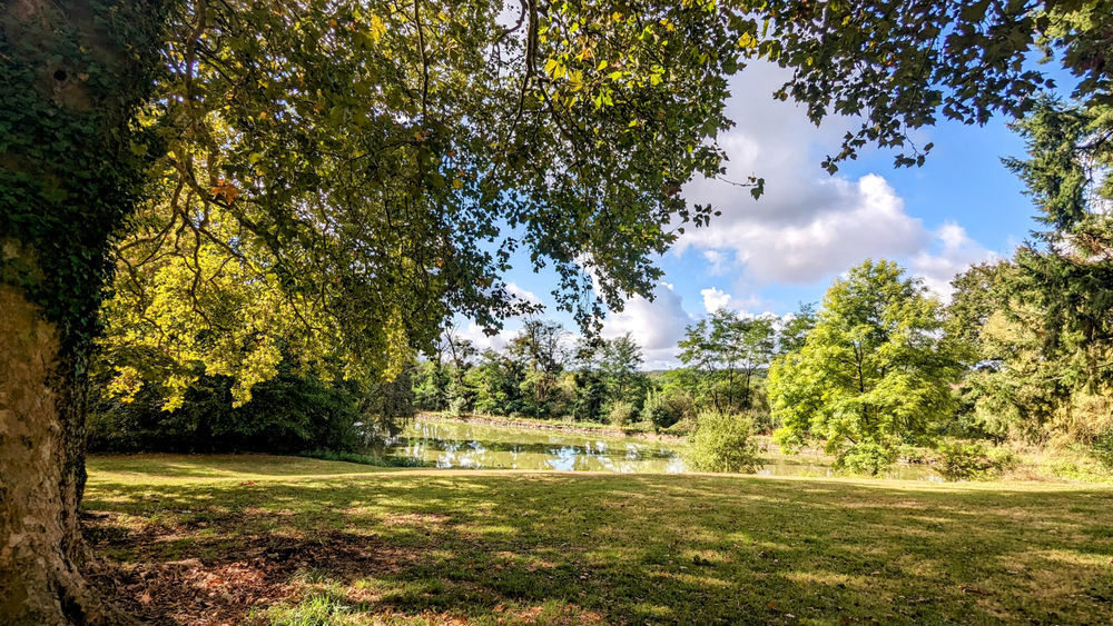 � vendre  Propri�t�/ch�teau Lesterps (16420)