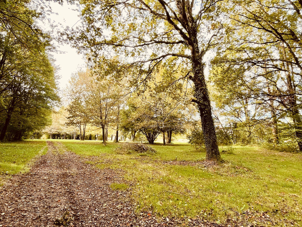 � vendre  Maison Le Vigeant (86150)