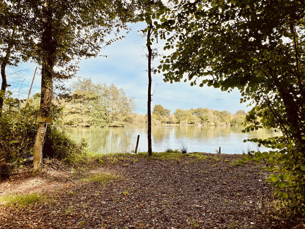 � vendre  Maison Le Vigeant (86150)