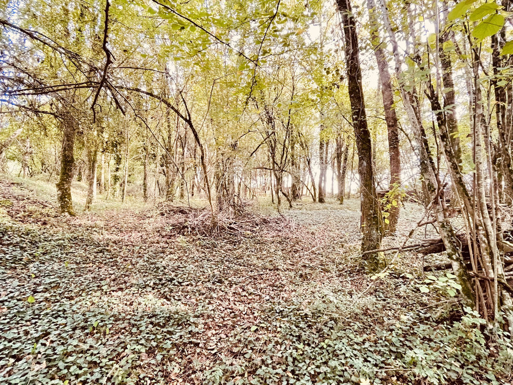 � vendre  Maison Le Vigeant (86150)