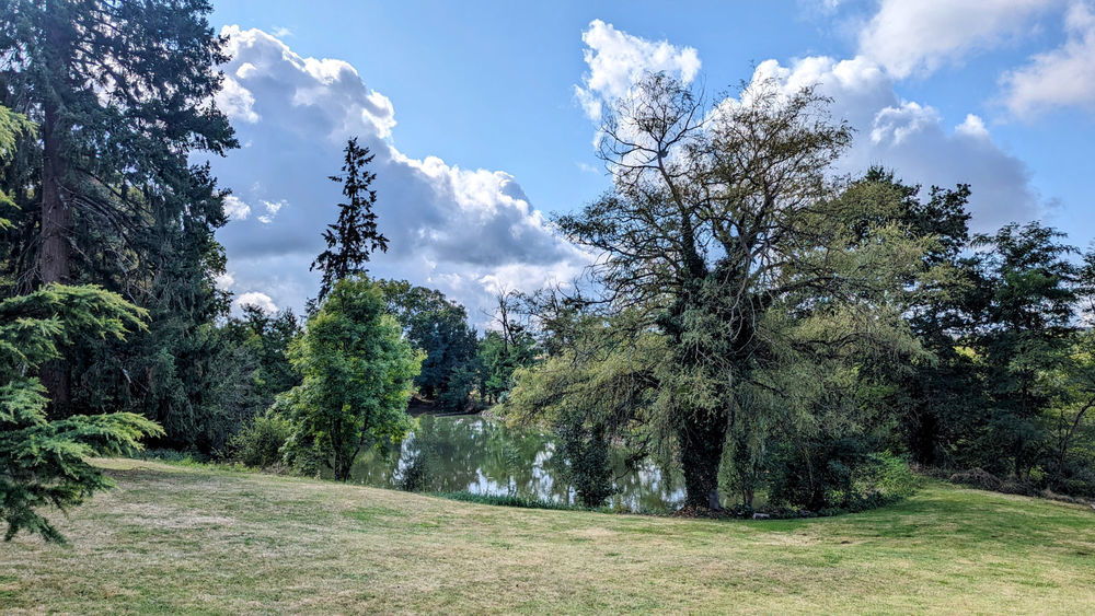 � vendre  Propri�t�/ch�teau Lesterps (16420)