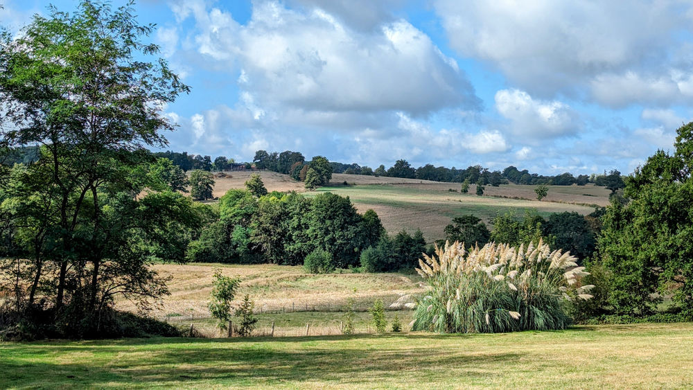 � vendre  Propri�t�/ch�teau Lesterps (16420)