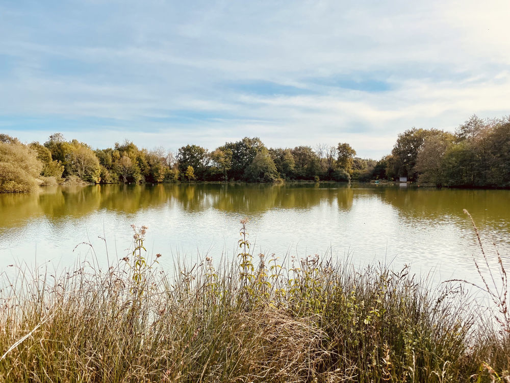 � vendre  Maison Le Vigeant (86150)