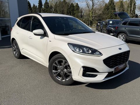 Ford Kuga ST-LINE BUSINESS 2.5 Duratec 190 e-CVT FHEV 4x2 2021 occasion Orvault 44700