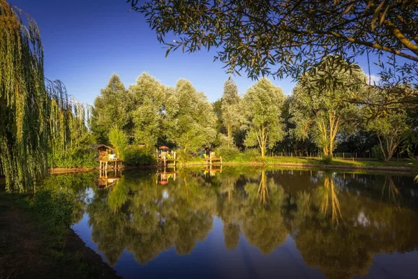   Camping de l'Etang Sites et Paysages - Tente Safari avec sanitaires Terrasse - Club enfants - Accès Internet - Jeux jardin - Lit Pays de la Loire, Brissac-Quincé (49320)