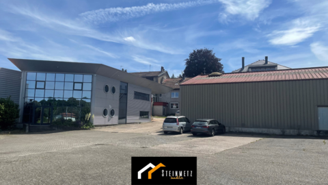 Ensemble immobilier &agrave; vendre en exclusivit&eacute; - Sarrebourg 945000 57400 Sarrebourg