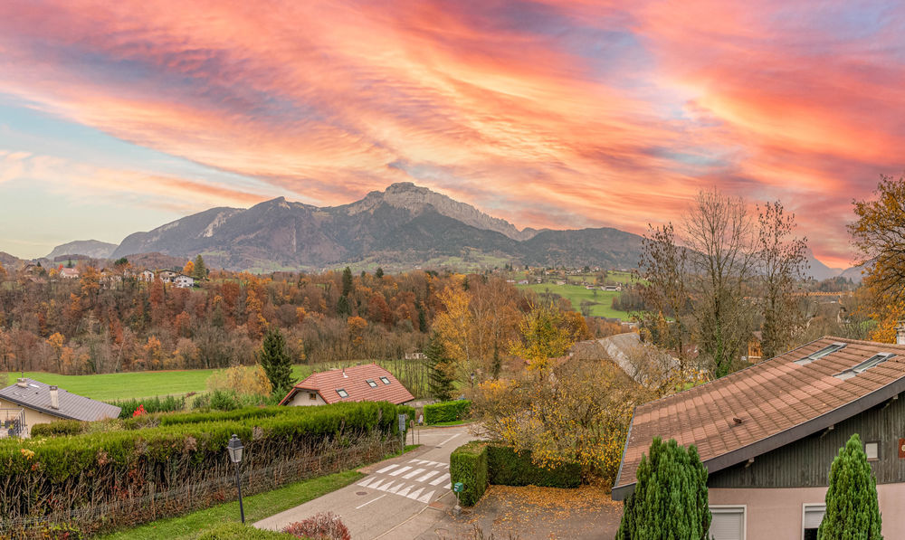 � vendre  Maison Pringy (74370)