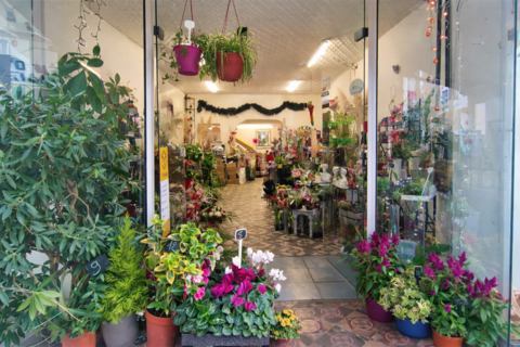 &Agrave; vendre   Fonds de commerce fleuriste | Bourg-Saint-And&eacute;ol 32000 07700 Bourg st andeol