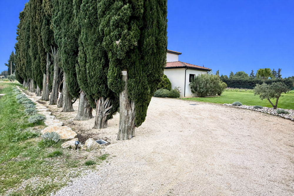 � vendre  Maison Sainte-C�cile-les-Vignes (84290)