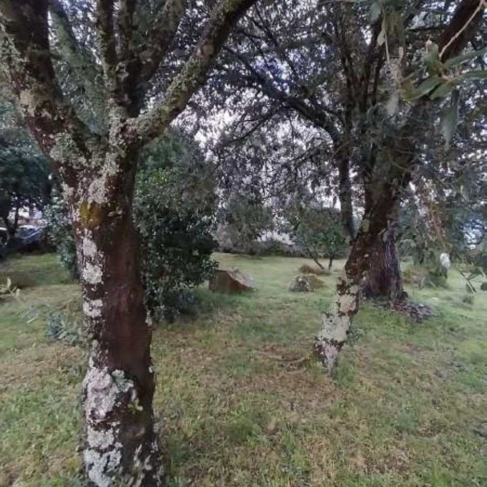 � vendre  Maison La Trinit�-sur-Mer (56470)