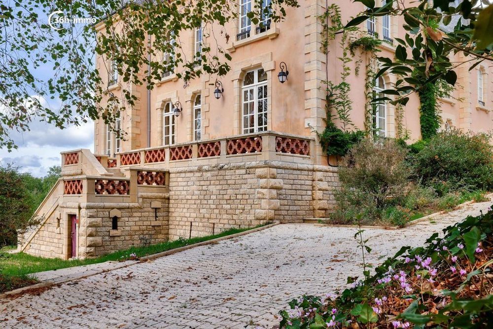 � vendre  Propri�t�/ch�teau Perpezac-le-Blanc (19310)