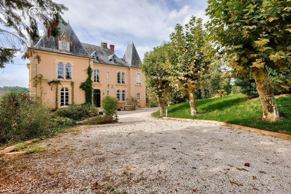 � vendre  Propri�t�/ch�teau Perpezac-le-Blanc (19310)