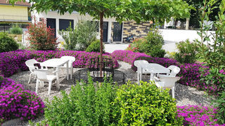  Appartement � louer 1 pi�ce 140 m�