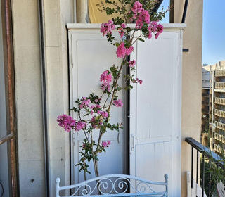  Appartement � louer 1 pi�ce 18 m�